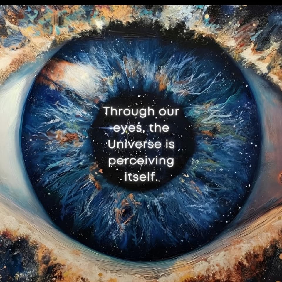 You Are the Universe Experiencing Itself: A Stoic Perspective on the Human Journey.